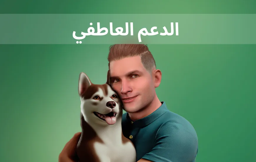 لماذا يمكن أن تكون الصورة الرمزية للذكاء الاصطناعي صديقاً رائعاً؟ الدعم العاطفي في تعلم اللغة