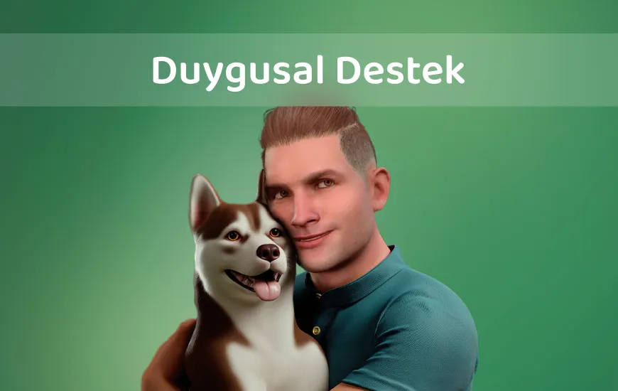 Yapay Zeka Avatarınız Neden Harika Bir Arkadaş Olabilir? Dil Öğreniminde Duygusal Destek